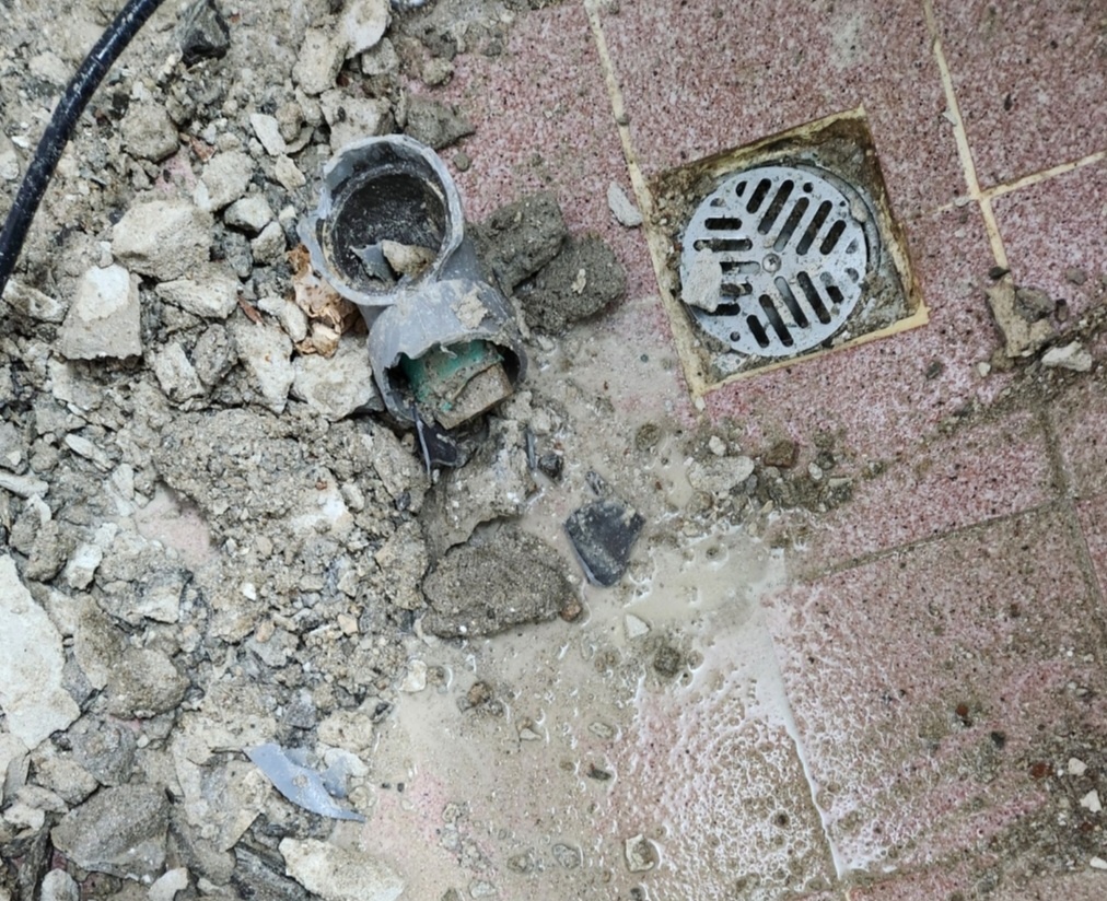 3555378332_dAFHp5cj_49e6fbd79f33a60f7e54683c766d10b306f50cac.jpg 이미지크게보기